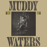 Muddy Waters - King Bee [2004 expanded]