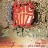 Various Artist - The Big Buzz Strikes Again
