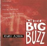 Various Artist - The Big Buzz Rides Again