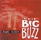 Various artists - The Big Buzz Rides Again