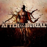 After the Burial - Rareform