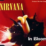 Nirvana - In Bloom [singles box set]