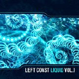 Left Coast Liquid Vol. 1 - Left Coast Liquid Vol. 1