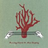 Burning Hearts - Aboa Sleeping