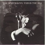 The Waterboys - This Is The Sea