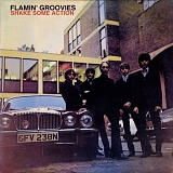 Flamin' Groovies - Shake Some Action