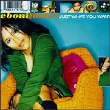 Eboni Foster - Just What You Want