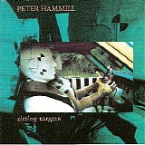 Peter Hammill - Sitting Targets (Remaster)