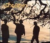 EchoBrain - Echobrain