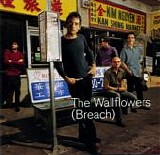 Wallflowers, The - Breach
