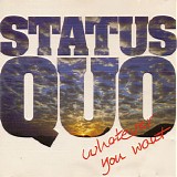 Status Quo - Whatever You Want Live In Europe '88