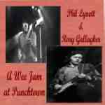Rory Gallagher - Naos Punchtown Festival cd 2