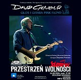 David Gilmour - Gdansk