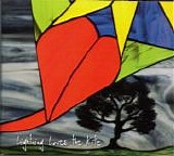 Rachel Roberts - Lightning Loves the Kite