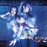 Various artists - Tribal Matrix 2