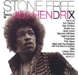 Pat Metheny Group - Stone Free - A Tribute To Jimi Hendrix