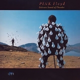 Pink Floyd - Delicate Sound Of Thunder (Live)
