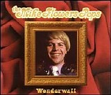 The Mike Flowers Pops - Wonderwall