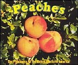 The Presidents of the United States of America - Peaches [Single]