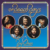 The Beach Boys - 15 Big Ones/Love You