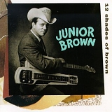 Brown, Junior (Junior Brown) - 12 Shades Of Brown