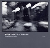 Marilyn Mazur's Future Song - Small Labyrinths
