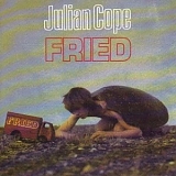 Cope, Julian - Fried