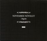 November Novelet - Magic