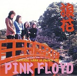 Pink Floyd - Natural Dark In Osaka