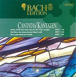 Johann Sebastian Bach - B100 Cantatas BWV 64, 134, 105