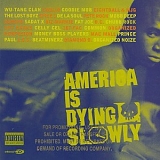 Various artists - America Is Dying Slowly