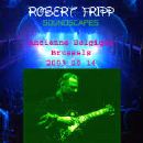 Robert Fripp - Soundscapes Live At Ancienne Belgique, Brussels