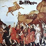 Bull Angus - Free For All