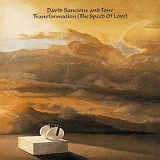 David Sancious - Transformation (The Speed of Love)