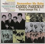 Various artists - Remember Me Baby: Cameo Parkway Vocal Groups, Vol. 1