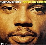 Various artists - After The Storm