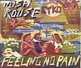 Josh Rouse - Feeling No Pain (Single)