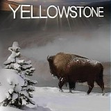Edmund Butt - Yellowstone