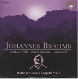 Johannes Brahms - 43 Chorwerke: Marienlieder Op. 22; Lieder Op. 41 and 44