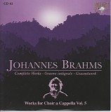 Johannes Brahms - 41 Chorwerke: Zigeunerlieder Op. 103 and 112b; Volkslieder WoO 33