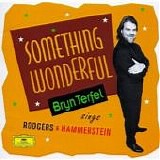 Bryn Terfel - Something Wonderful - Bryn Terfel sings Rodgers & Hammerstein