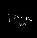 Antony And The Johnsons - I'am A Bird Now