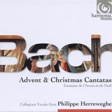 Collegium Vocale - Bach, J.S.: Advent Cantatas BWV36, 61, & 62, Christmas Cantatas BWV57, 91, 110, 121, 122 & 133