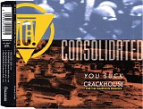 Consolidated - You Suck & Crackhouse (The Tim Simenon Remixes)