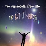 The Psychedelic Ensemble - The Art of Madness
