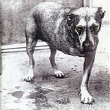 Various artists - Alice In Chains