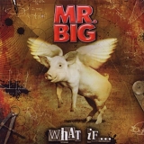 Mr. Big - What If....