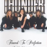 Thunder - Flawed To Perfection: The Video Collection