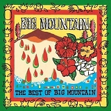 Big Mountain - The Best Of