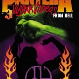 Pantera - 3 Vulgar Videos from Hell